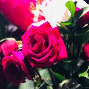 Meet your Posher, Demi rae